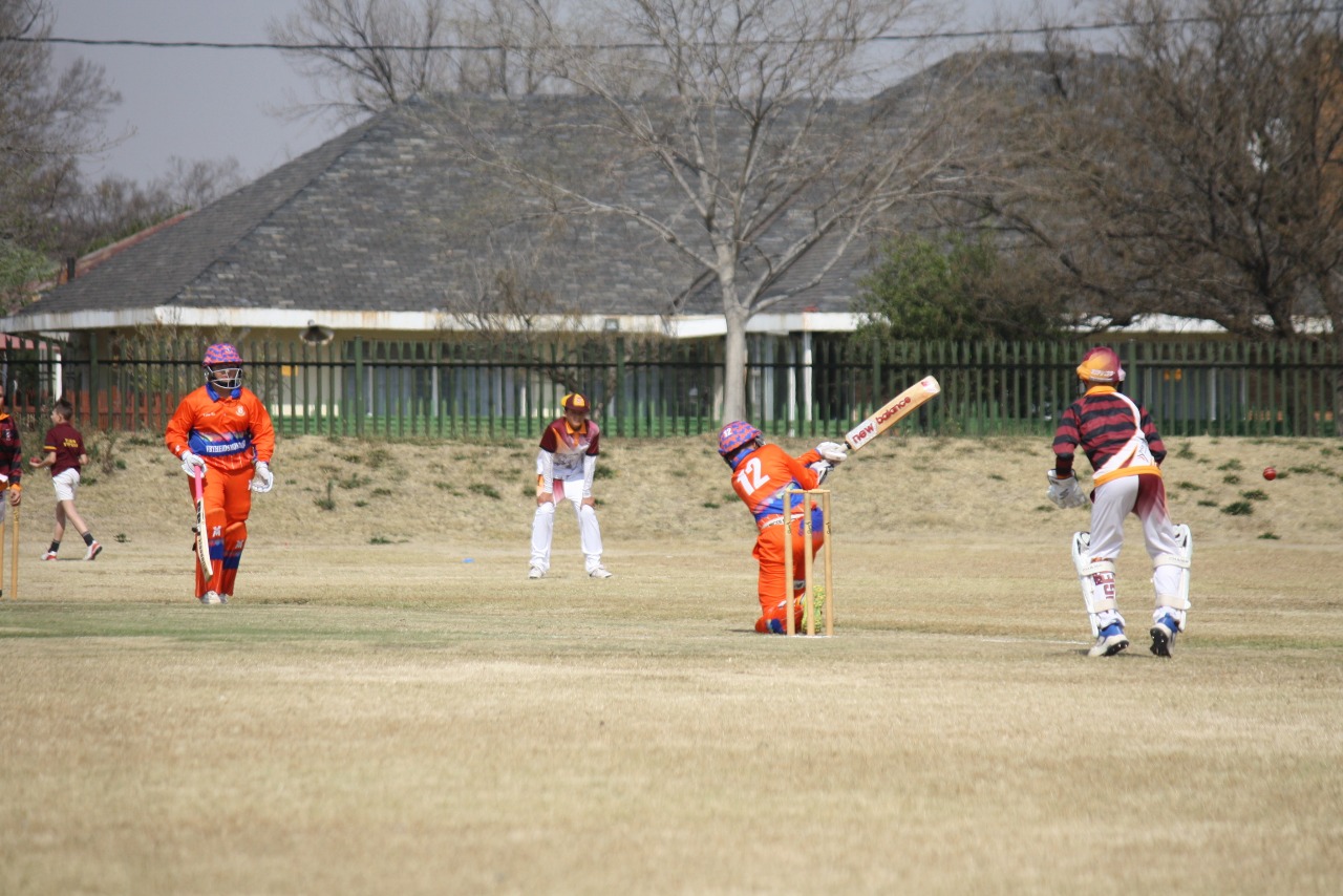 Krieket foto 6